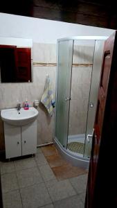 a bathroom with a shower and a sink at Nu mai este valabil decat telefonic in Lunca Ilvei