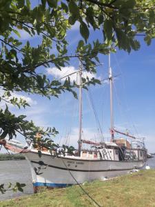 een boot is aangemeerd in het water bij een boom bij Corabia Santa Marina in Sulina