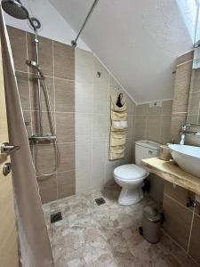 W łazience znajduje się prysznic, toaleta i umywalka. w obiekcie Melro w mieście Skiatos