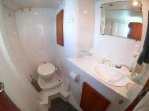 a white bathroom with a toilet and a sink at Disney Orlando Catamaran Accommodation in Vero Beach