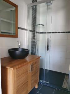 a bathroom with a sink and a shower at 2 chambres dans une maison proche de Paris et du Stade de France in Enghien-les-Bains