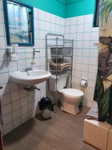 La salle de bains est pourvue de toilettes et d'un lavabo. dans l'établissement Alojamiento San Francisco Preciosas habitaciones con baño privado, à Lima