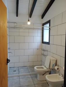 een badkamer met een toilet en een wastafel bij Los soles de montaña in Villa Pehuenia