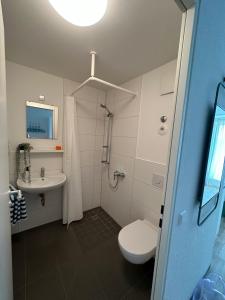 y baño con aseo, lavabo y ducha. en Stilvolles und modernes Appartement mit sonnigem Balkon in Flughafen- und Messenähe 31 en Leinfelden-Echterdingen