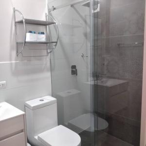 La salle de bains blanche est pourvue d'une douche et de toilettes. dans l'établissement Awesome apartment in the best area of ​​Miraflores, à Lima