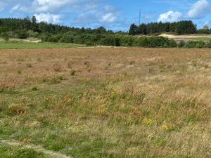 un campo de césped con árboles en el fondo en Blokhus-Hune Hotel og Vandrerhjem en Blokhus