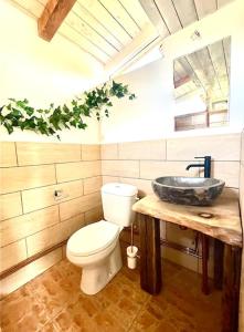 a bathroom with a toilet and a sink at Country House in Vadul lui Carol II