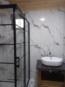 a bathroom with a sink and a glass shower at Saklı Bahçe Suite in Uzungöl