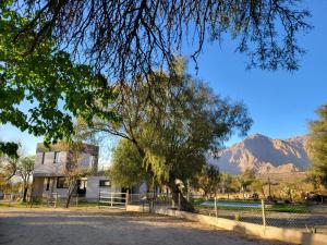 a house with a tree and mountains in the background at CASAS Viñedos de Cafayate Alquiler Temporario in Cafayate