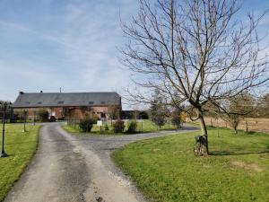 a tree on the side of a road next to a house at Gîte Version 70 in Mondrepuis