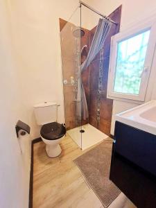 a bathroom with a toilet and a shower and a sink at Studio Centre Ville Stadium in Agen +6 photos
