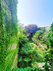 a garden with palm trees and plants on a building at Studio Centre Ville Stadium in Agen