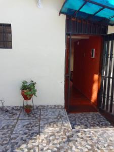 庫斯科的住宿－Casa Sara en San Blas，坐在门前桌子上的植物