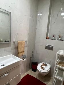 Koupelna v ubytování Luxuary appartment in Agadir Bay