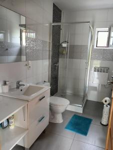 een badkamer met een wastafel, een toilet en een douche bij Domek nad jeziorem/Seehaus 3 (Sławno/Łętowo) in Łętowo