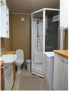 ein Bad mit einer Dusche, einem WC und einem Waschbecken in der Unterkunft Lysti Cottage by the lake and magical countryside in Rovaniemi