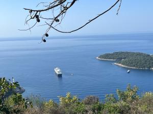 a cruise ship in a large body of water at Hidden Gem above Dubrovnik in Dubrovnik