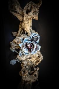 a dried up flower on a piece of wood at Unique Luxury House in Athens