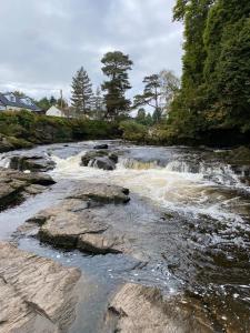 a river with rapids on the rocks and trees at Gulls Island in Morenish