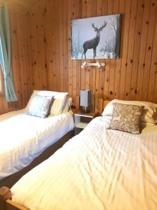 two beds in a room with a deer on the wall at Gulls Island in Morenish