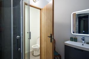La salle de bains est pourvue de toilettes et d'une porte de douche en verre. dans l'établissement Dôme avec vue sur Loire proche de Chambord, à Saint-Dyé-sur-Loire