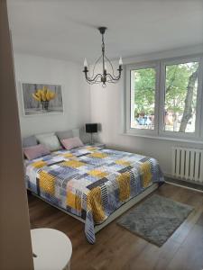 1 dormitorio con 1 cama con un edredón colorido en Apartament ALE LABA, en Kołobrzeg
