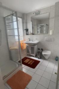 a bathroom with a shower and a sink and a toilet at Ferienwohnung in Oberschondorf mit Terasse in Schondorf am Ammersee