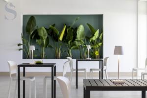 Φωτογραφία από το άλμπουμ του Sud Hotel Pulsano σε Pulsano