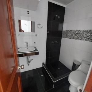 a bathroom with a shower and a toilet and a sink at Casa completa, 5 dormitorios y jardín in Ayacucho