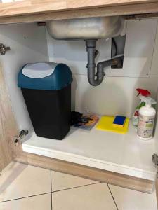 ein Badezimmer mit einem Mülleimer unter einem Waschbecken in der Unterkunft L'idéal séjour avec jardin privé proche Paris gare et commerce in Sarcelles