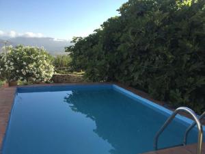 una piscina azul con árboles en el fondo en El Refugio del Viento, Casita Levante, en Facinas