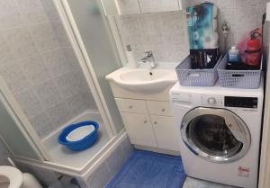 a small bathroom with a washing machine and a sink at Apartment Goga Sevid in Sevid