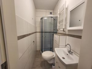 a bathroom with a toilet and a shower and a sink at Jelinski Beherbergungsstätten Ostingersleben in Ostingersleben