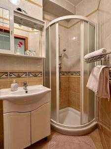 a bathroom with a shower and a sink at Villa Milada in Portorož