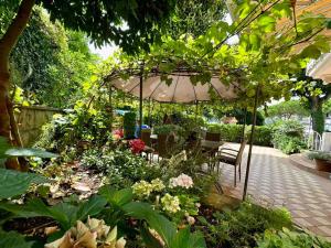 Zahrada ubytování Villa Milada