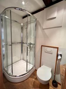 a bathroom with a shower and a toilet at Hotel Pemü in Arnsberg