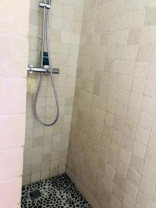 a shower with a hose in a tiled bathroom at Proche Avignon au calme in Les Angles Gard +11 photos