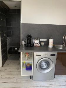 eine Küche mit einer Waschmaschine und einem Waschbecken in der Unterkunft Studio Bas de villa avec grande terrasse in Piedigriggio