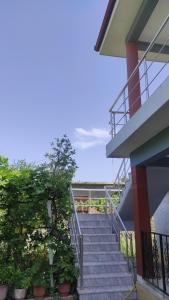 a staircase leading up to a building with the ocean in the background at Guesthouse Isolde in Vlorë