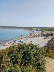 a beach with people and umbrellas and the water at Residenze Punta dell Aquila in Aglientu