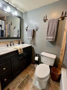 a bathroom with a toilet and a sink and a mirror at Abundant Acres Retreat in Beech Mountain