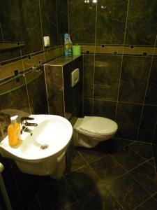 een badkamer met wastafel en toilet bij Apartament Majorka - studio in Stegna