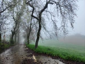 Zdjęcie z galerii obiektu Lilyfarm B&B w mieście Yuli