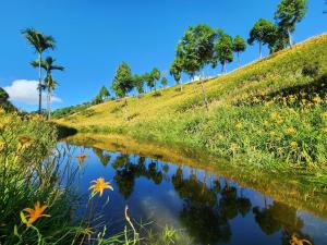 Gallery image of Lilyfarm B&B in Yuli