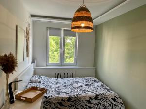 1 dormitorio con cama y ventana en Na rogu 47, en Olsztyn