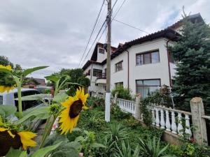 Zahrada ubytování En vacances