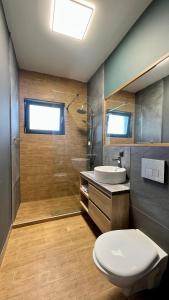 W łazience znajduje się toaleta, umywalka i prysznic. w obiekcie Agropensiunea La Gradina w mieście Baia Sprie