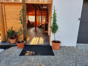 a hallway of a house with potted plants at Apartament u Ewki in Rdzawka +60 photos