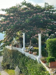 a tree with pink flowers on a white fence at Villa Anna in Torria