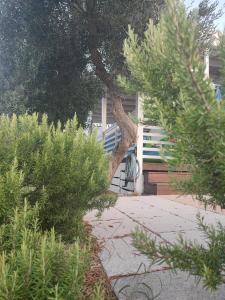 un árbol que se inclina sobre una acera en Two Roses Mobile Home en Jezera